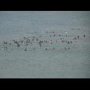 Mutige Badegäste trauen sich weiter ins Wasser